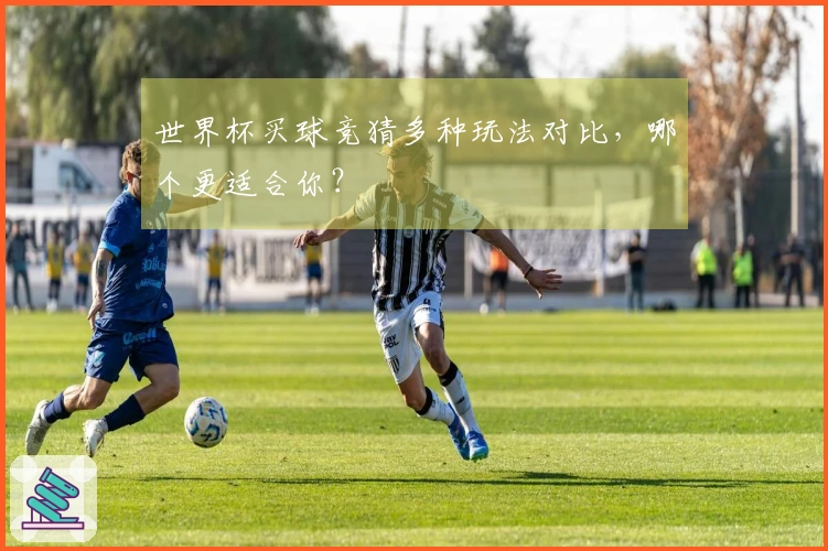 世界杯买球竞猜多种玩法对比，哪个更适合你？