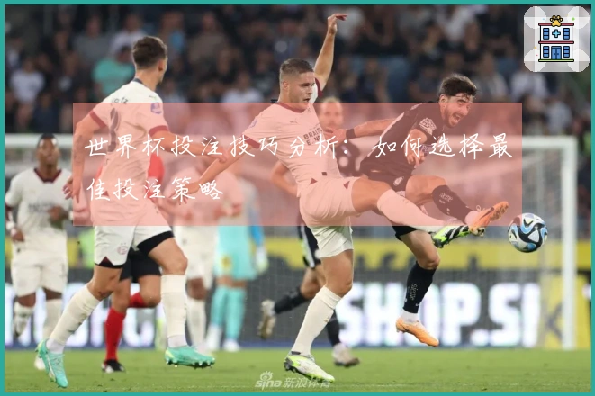 世界杯投注技巧分析：如何选择最佳投注策略